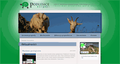 Desktop Screenshot of podlesice.org.pl